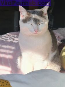 nicolebun Onlyfans Leaks Album - Latest Set