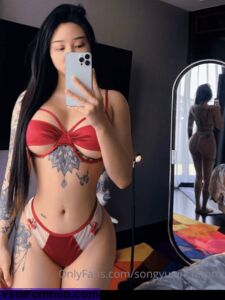 songyuxin_hitomi  Onlyfans Leaks Nude Album