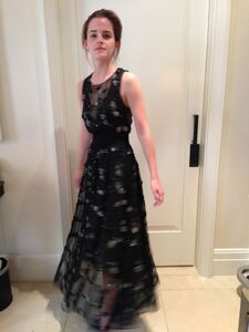 Super Hot Emma Watson Nudes Leaked on the Internet