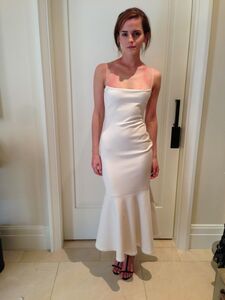 Super Hot Emma Watson Nudes Leaked on the Internet