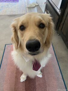 Peachjars Onlyfans Latest Nude Photo Leaks